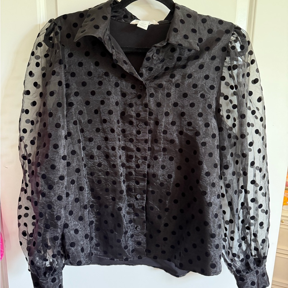 Elegant Black Polka Dot Sheer Blouse